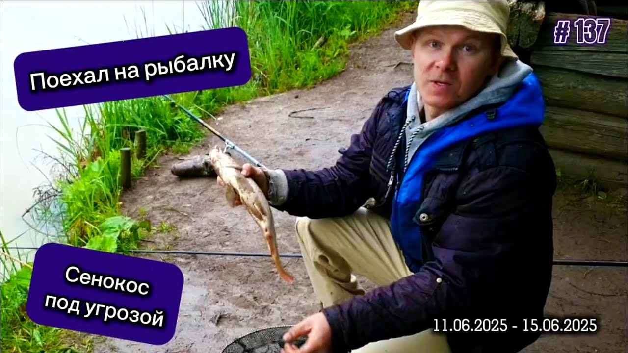 Поменялась погода - сенокос под угрозой. Наловил РЫБЫ на пол ГОДа.