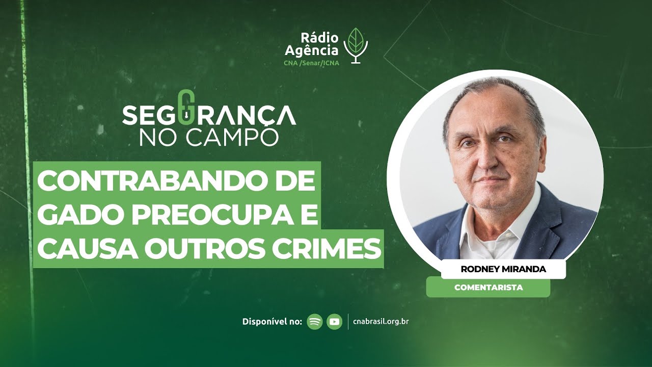 Seguran&ccedil;a no Campo - Contrabando de gado preocupa e causa outros crimes