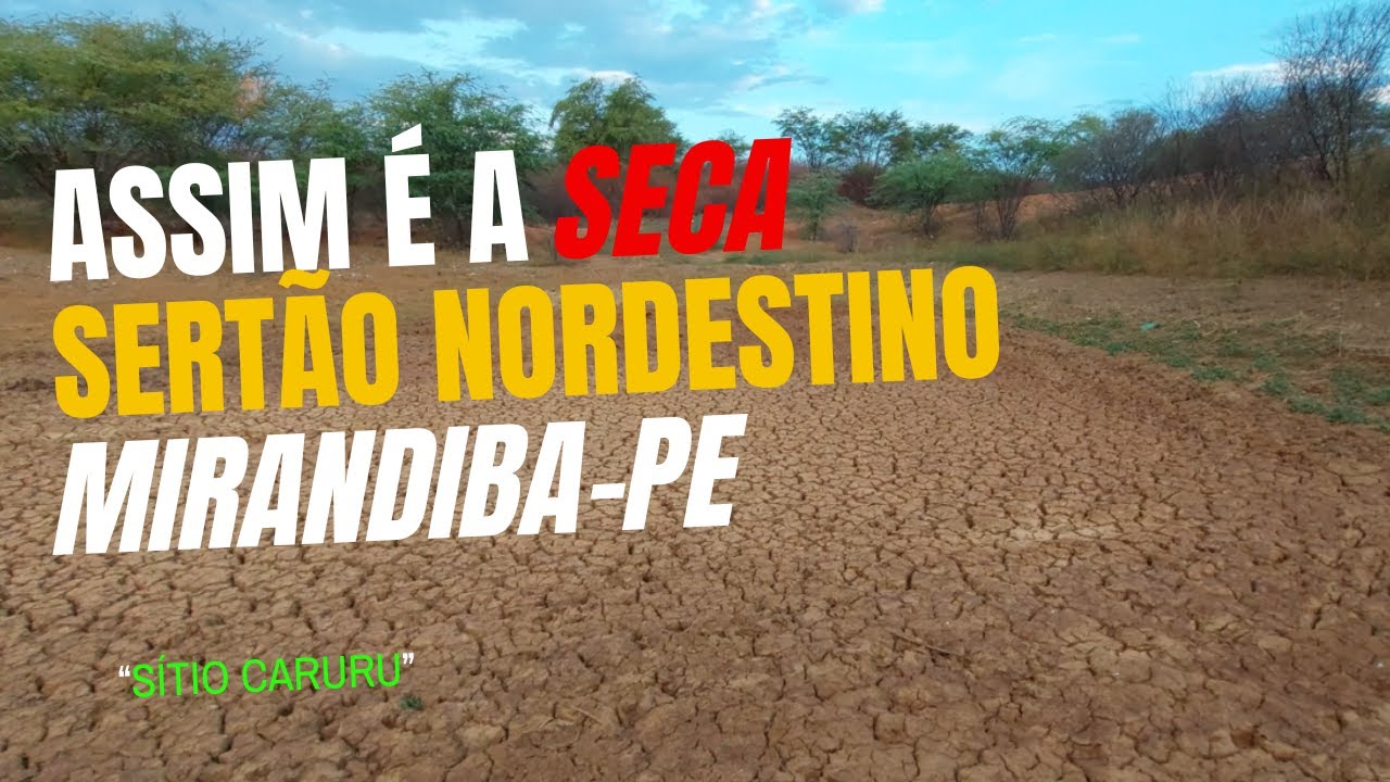 Assim é a Seca no Sertão Nordestino. Vídeo gravado em 19/10/2024