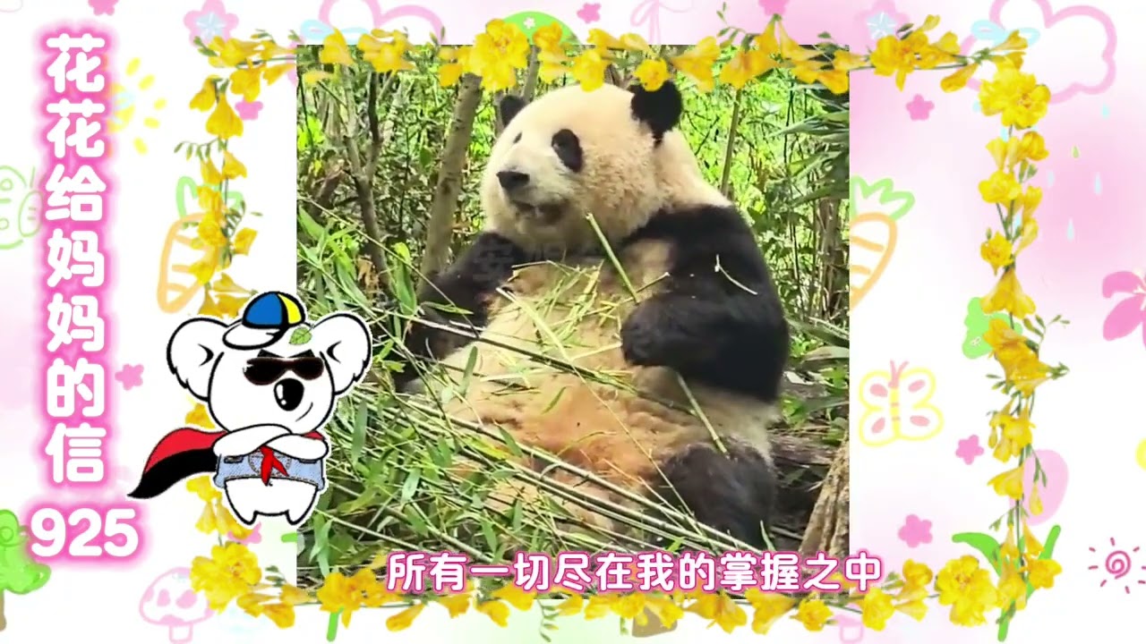 《花花给妈妈的信925》 花花指导叶甜甜爬树？！🤪#来这里吸熊猫 #大熊猫和花 #大熊猫和花和叶 #熊猫花花 #大熊猫