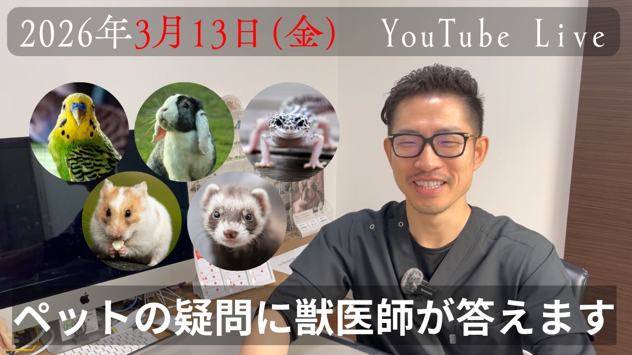 【ライブ配信】獣医師がどんなペットの質問でも答えます！。2026年3月13日20時～21時予定