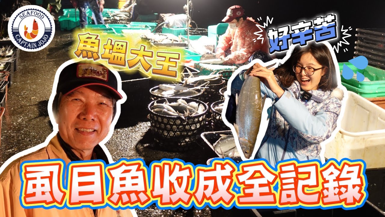 虱目魚收成獨家完整大公開｜魚塭大王來講解！挵魚~放網~斗魚~出魚!步驟超級多! ｜還能客製化出貨? #虱目魚 #魚塭