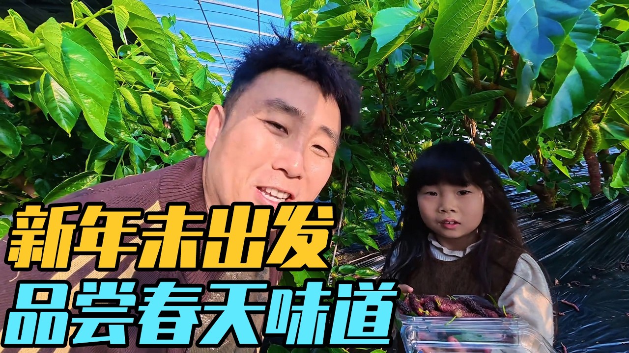2026年新的房车旅行还没出发，先把山东老家的春天吃进嘴里【家和远方的旅行】