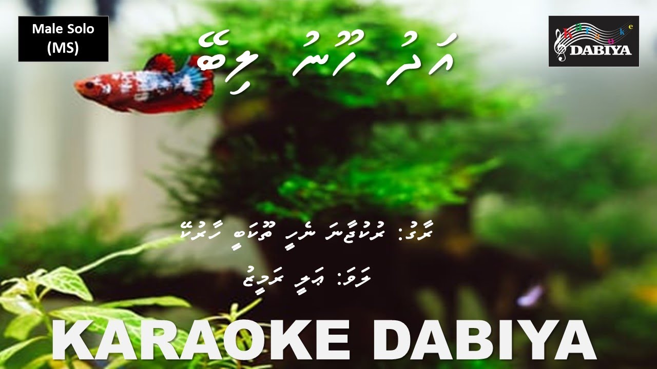 Adhu hoonu libey (MS) Ruk jaana nahin tu kahin by Karaoke DABIYA