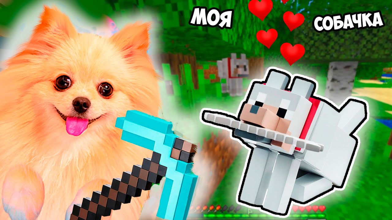 I TAMED A DOG IN MINECRAFT! THE SADDEST MINECRAFT EDITION EVER