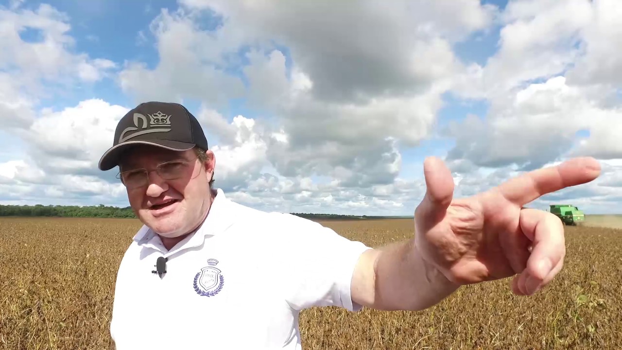 ESTILOSANTES - CAMPO GRANDE DA EMBRAPA -RESULTADO  (COLHEITA DA SOJA)