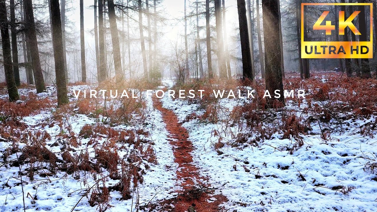 Virtual Winter Forest Walk in 4K UHD: Relaxing ASMR & Meditation Music for Stress Relief.