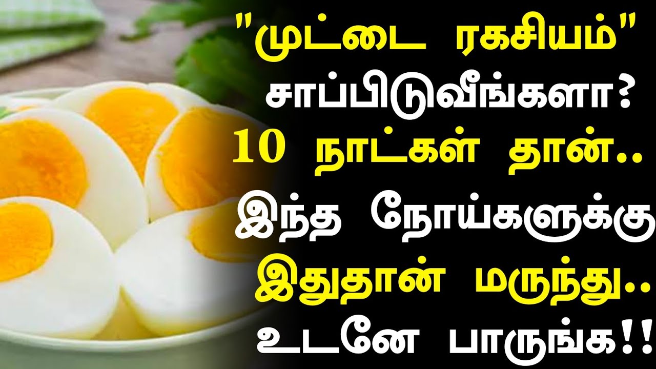 காலையில் முட்டை சாப்பிடுவீங்களா? |Health Benefits of Eating Eggs in Tamil| Egg Health Tips in Tamil 
