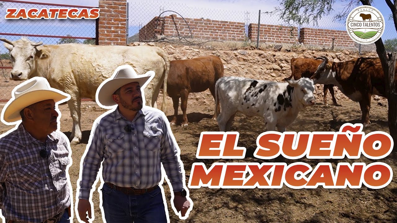 TRABAJÓ DURO PARA REGRESAR A SU TIERRA | Rancho Cinco Talentos | Ganadería | Zacatecas