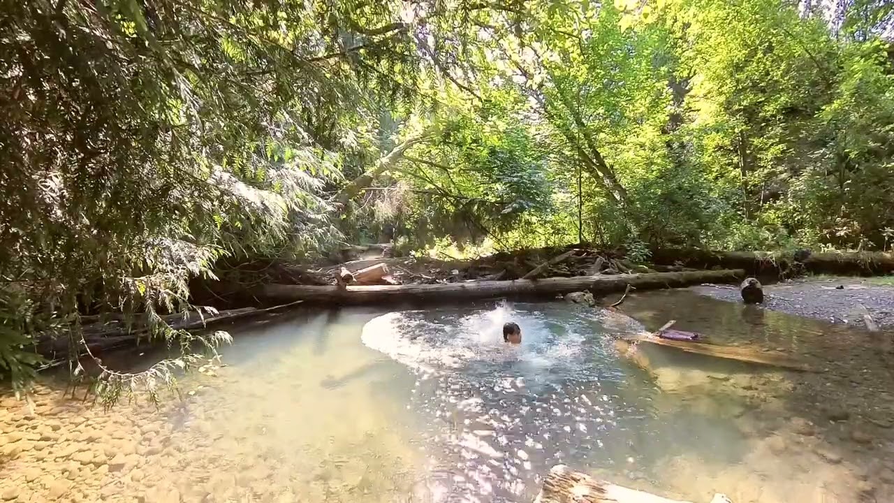 BROOKSWOOD LANGLEY BC, CANADA 🇨🇦