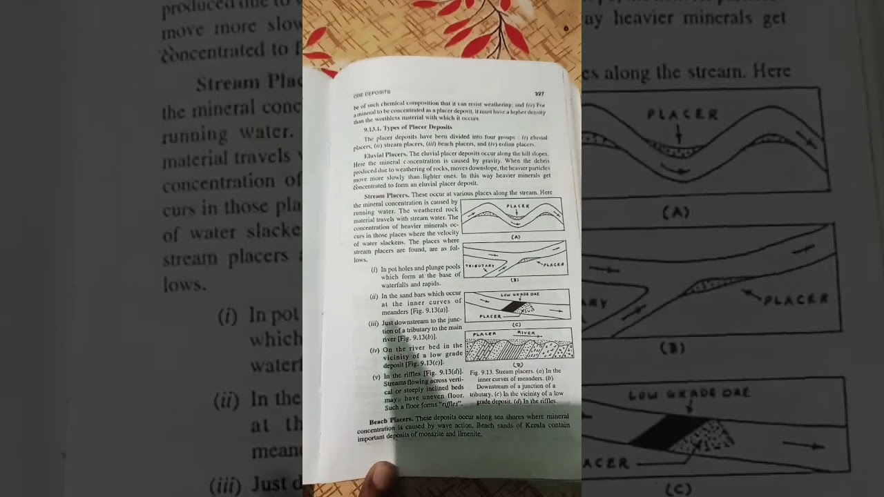 types of placer deposit - ore deposits #geology bsc 3rd year #shorts #ytshorts #trendingshorts