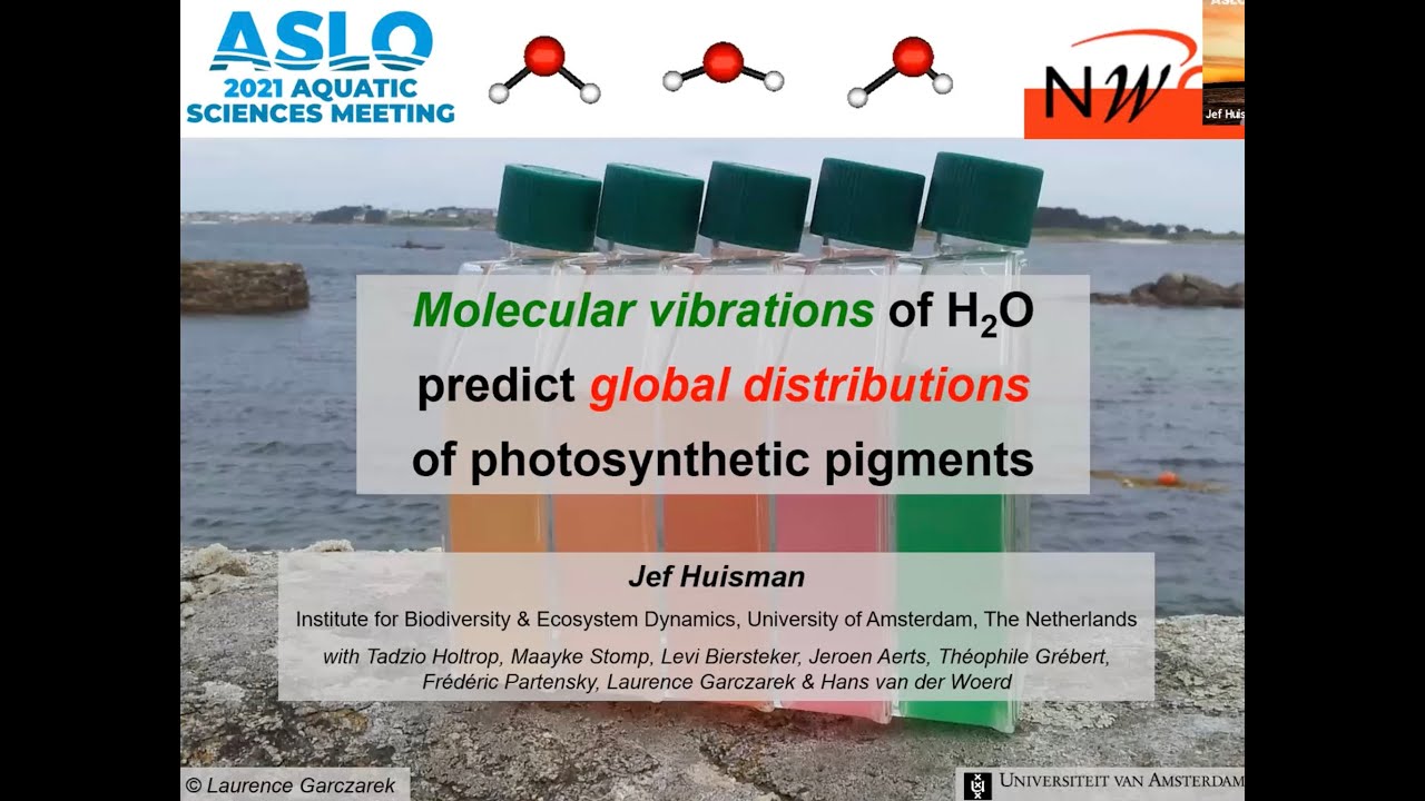 2021 ASM Plenary by Jef Huisman on Molecular vibrations of water predict global photosynthesis