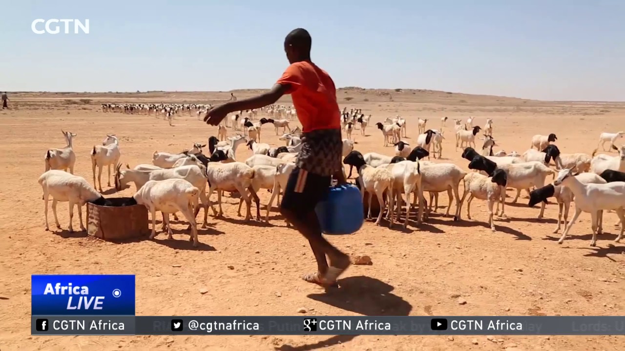 Germany pledges to double its aid to help ward off starvation in Somalia