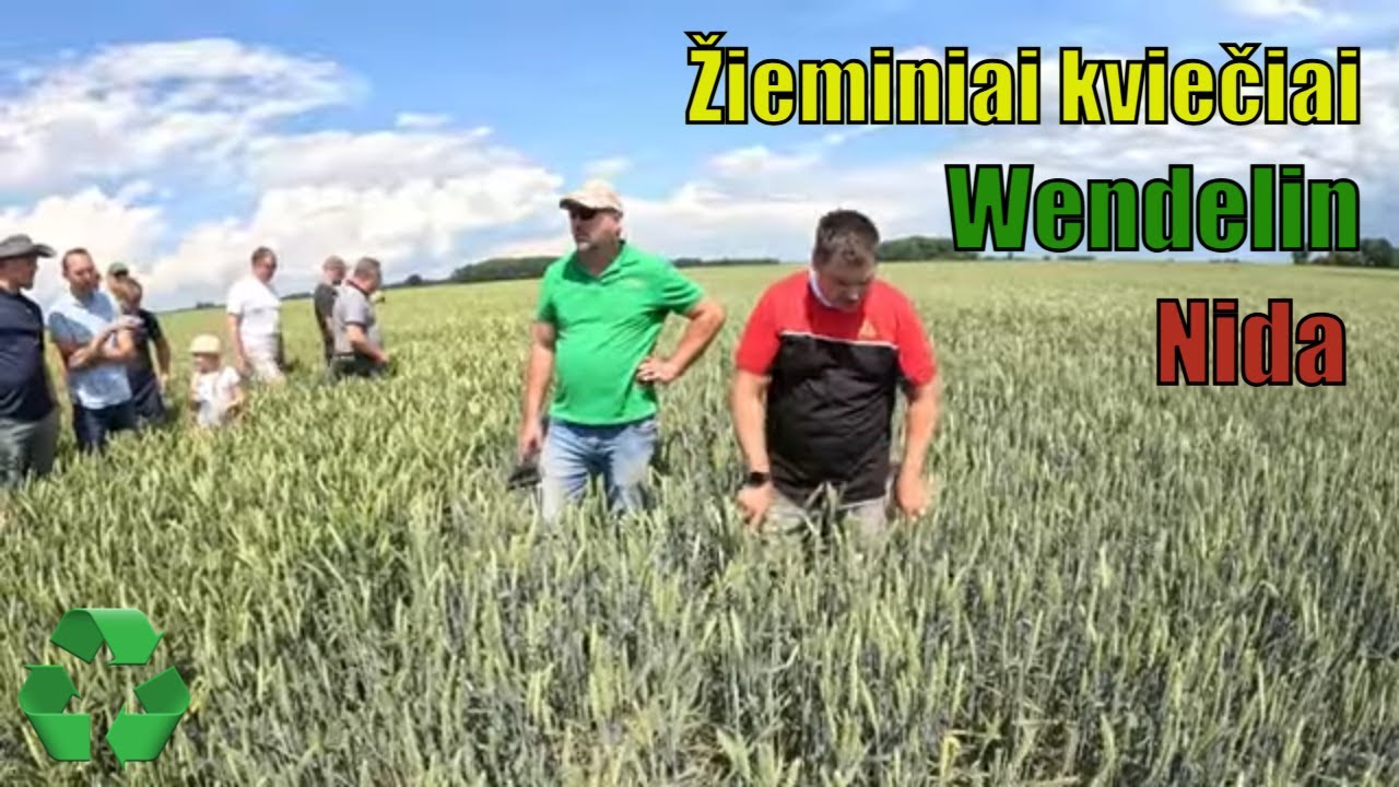 Lauko dienoje &Scaron;akiuose pristatyti žieminiai kviečiai: Wendelin ir Nida.