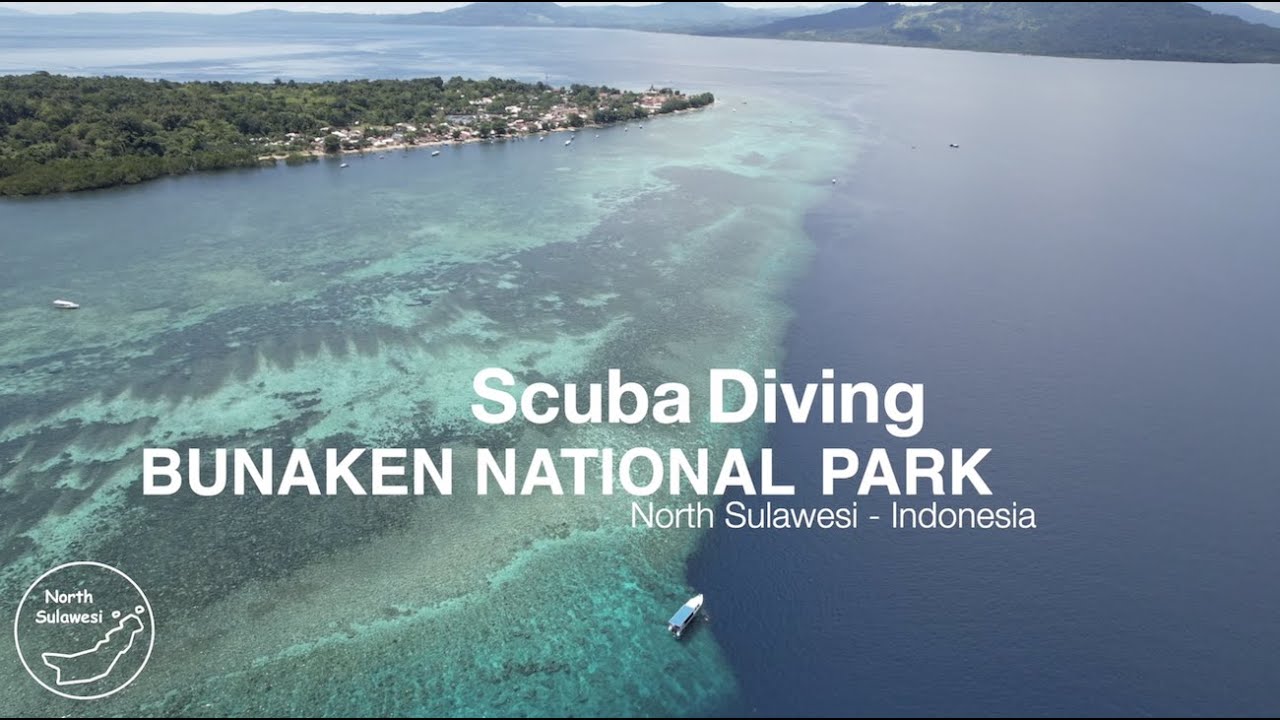 Scuba Diving Bunaken National Park - Indonesia in 2022