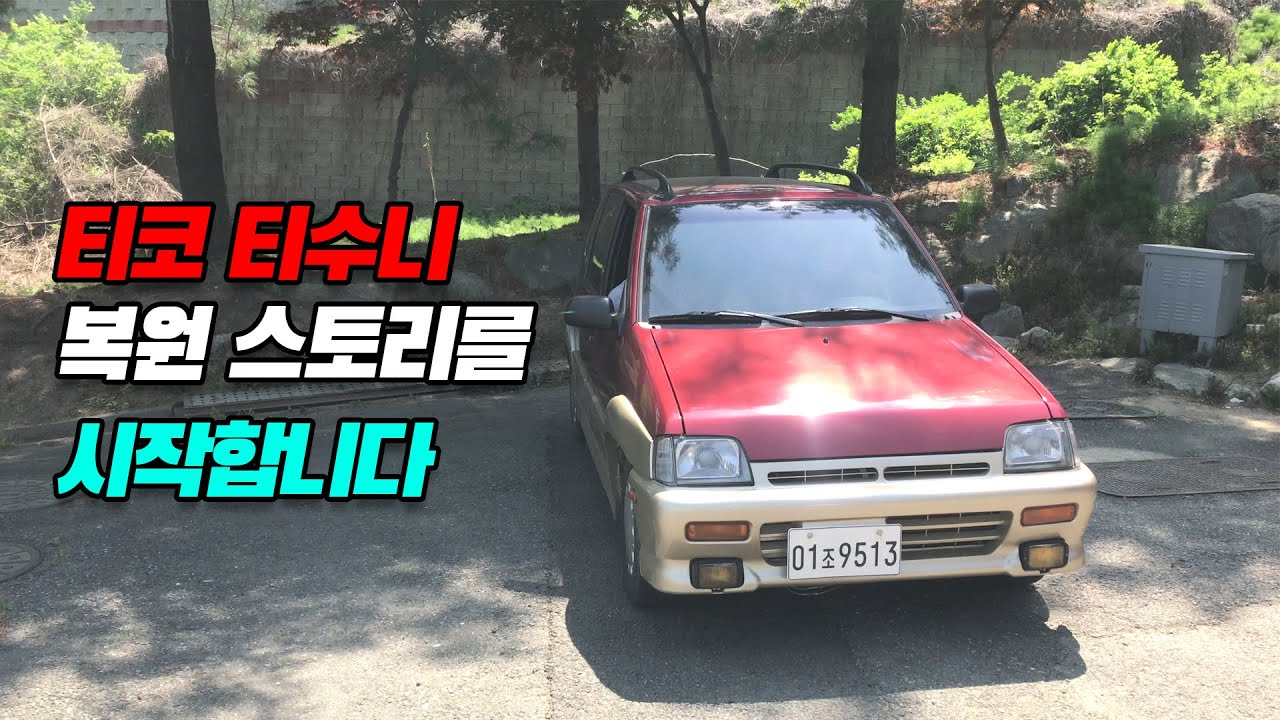 티코 티수니 프로젝트의 시작