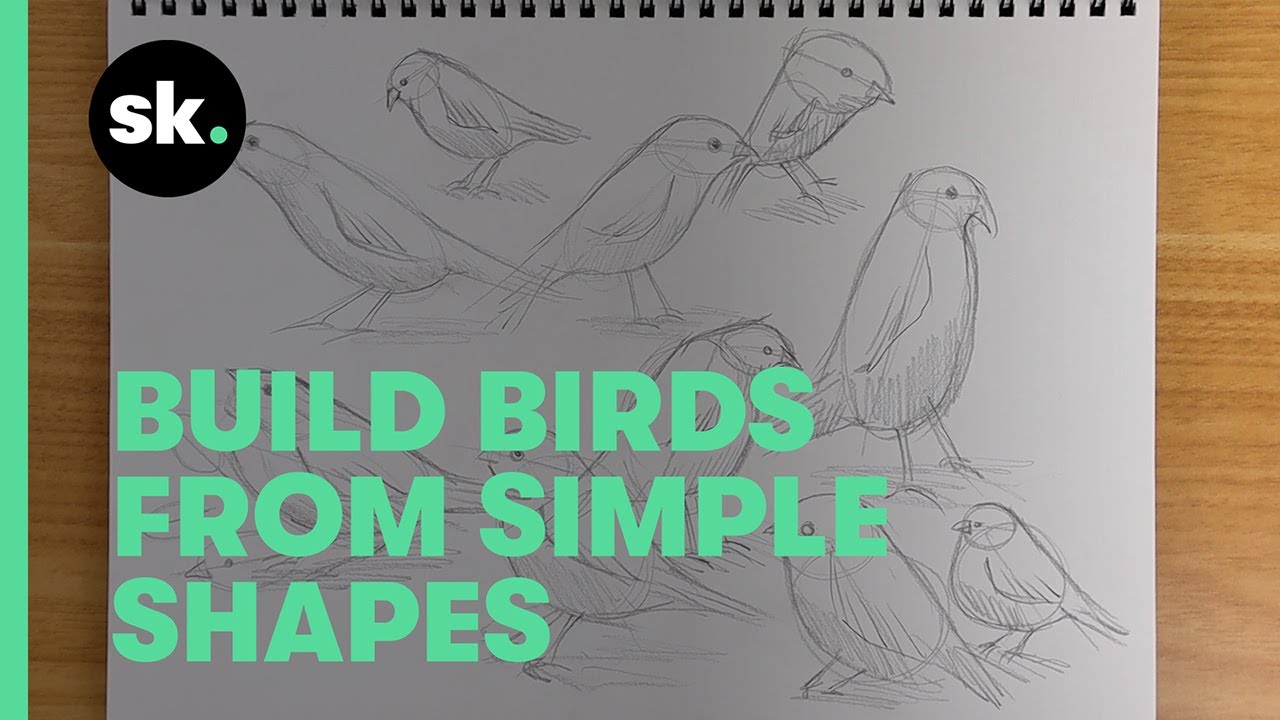 30-Day Drawing Challenge | Day 23: Sketch Bird Characters with Shapes & Flow Lines
