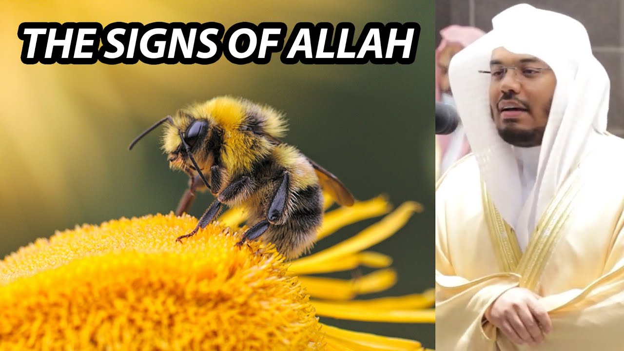 Beautiful Recitation From Surah Nahl | Sheikh Yasser Dossary