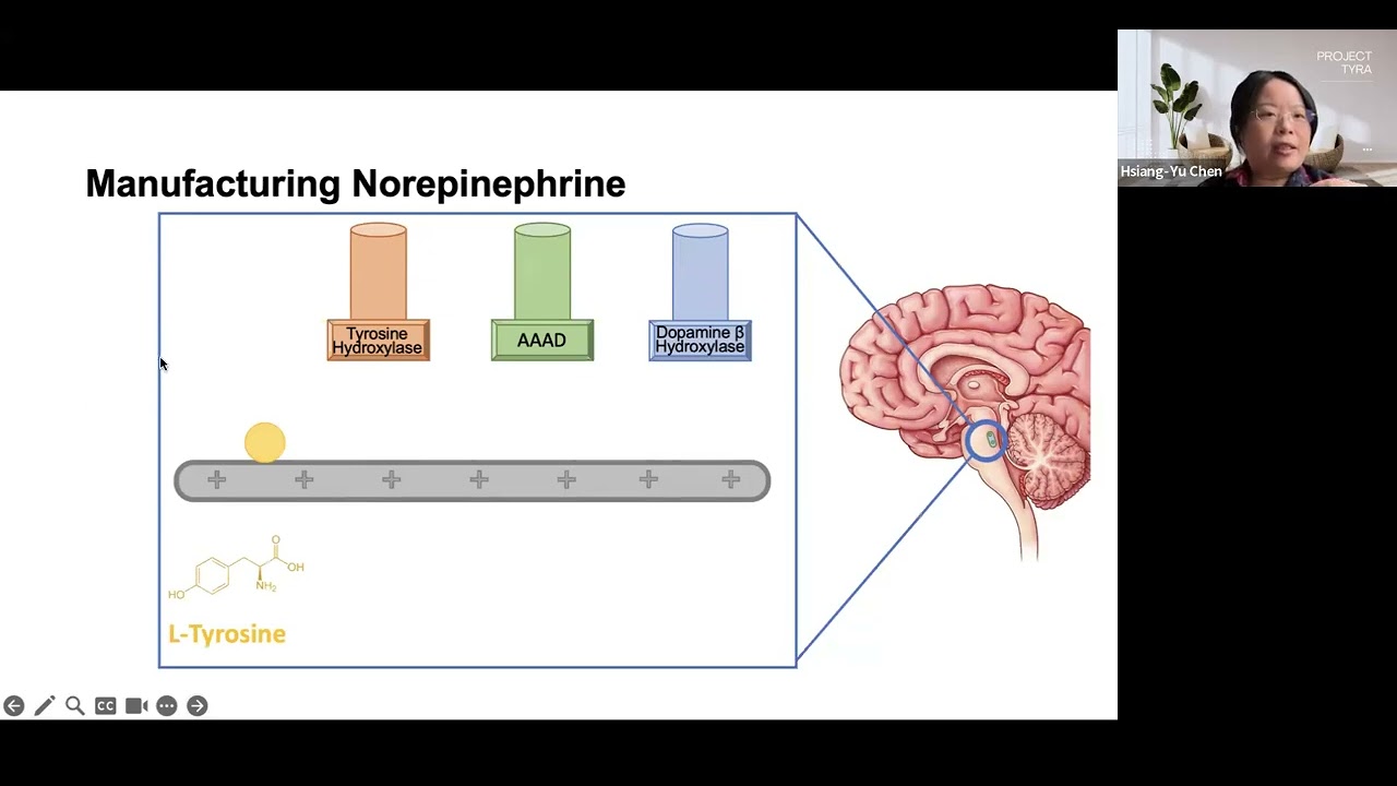 【Tyra Talk 2024】自然科學｜Aging, locus coeruleus, and decision-making