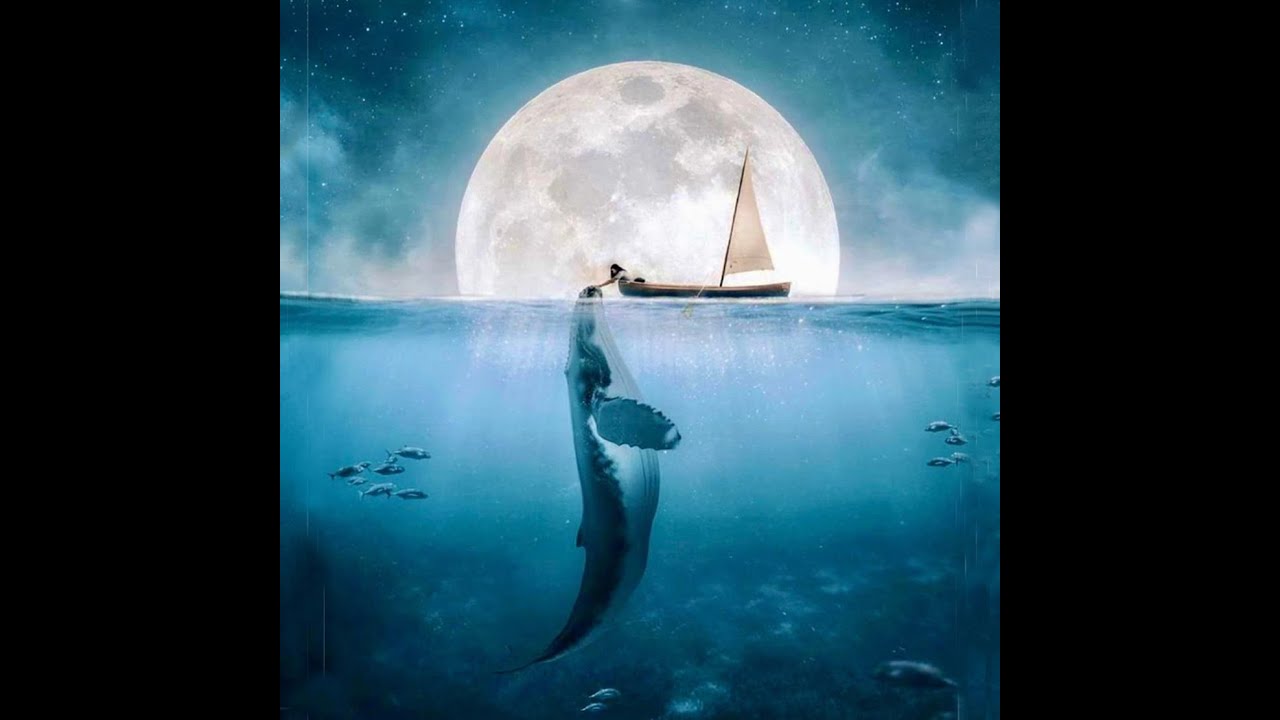 МОРЕ
