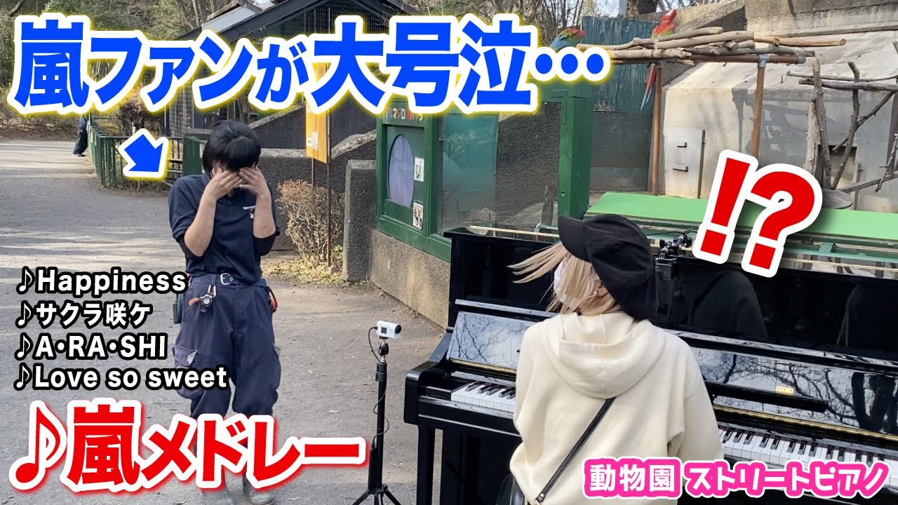 【感動】嵐ファンの飼育員さん号泣😭⁉️✨即興ピアノで『嵐神曲メドレー』をプレゼントしたら…【羽村動物園ストリートピアノ】A・RA・SHI/Happiness/サクラ咲ケ/Love so sweet