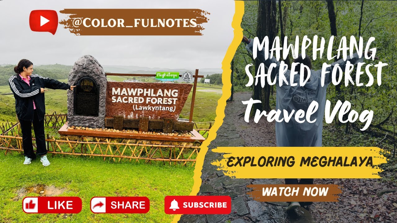 Mawphlang Sacred Forest || Secrets of the Mawphlang Sacred Grove || India's Enchanted Forest