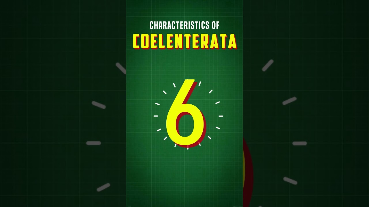 Characteristics Of Coelenterata (Cnidarian) Phylum #shorts #education #biology #neet #aiims