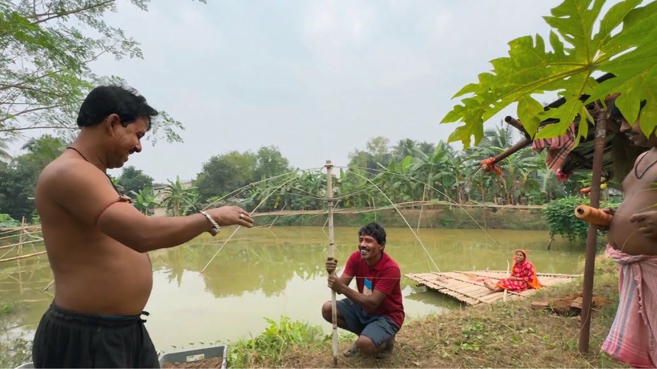umbrella tree 🌳| ছাতা গাছ 😀||