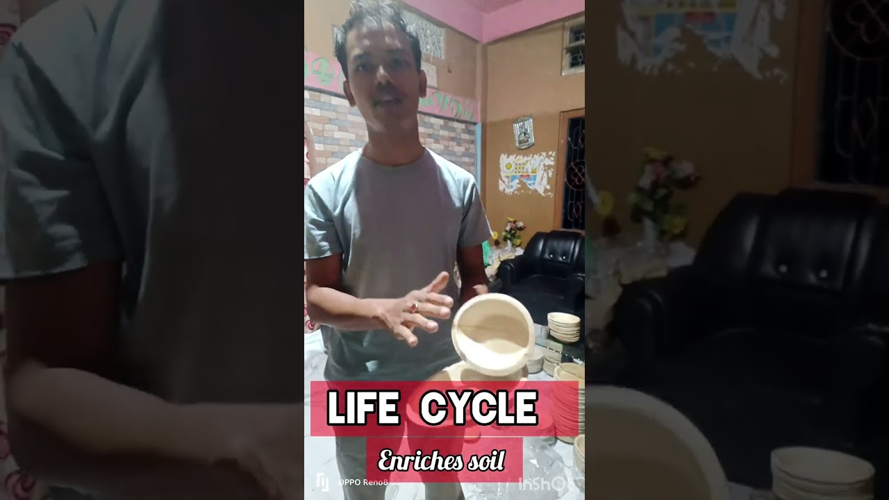 How to start a business with low investment | Low production cost n huge margin | Areca plates