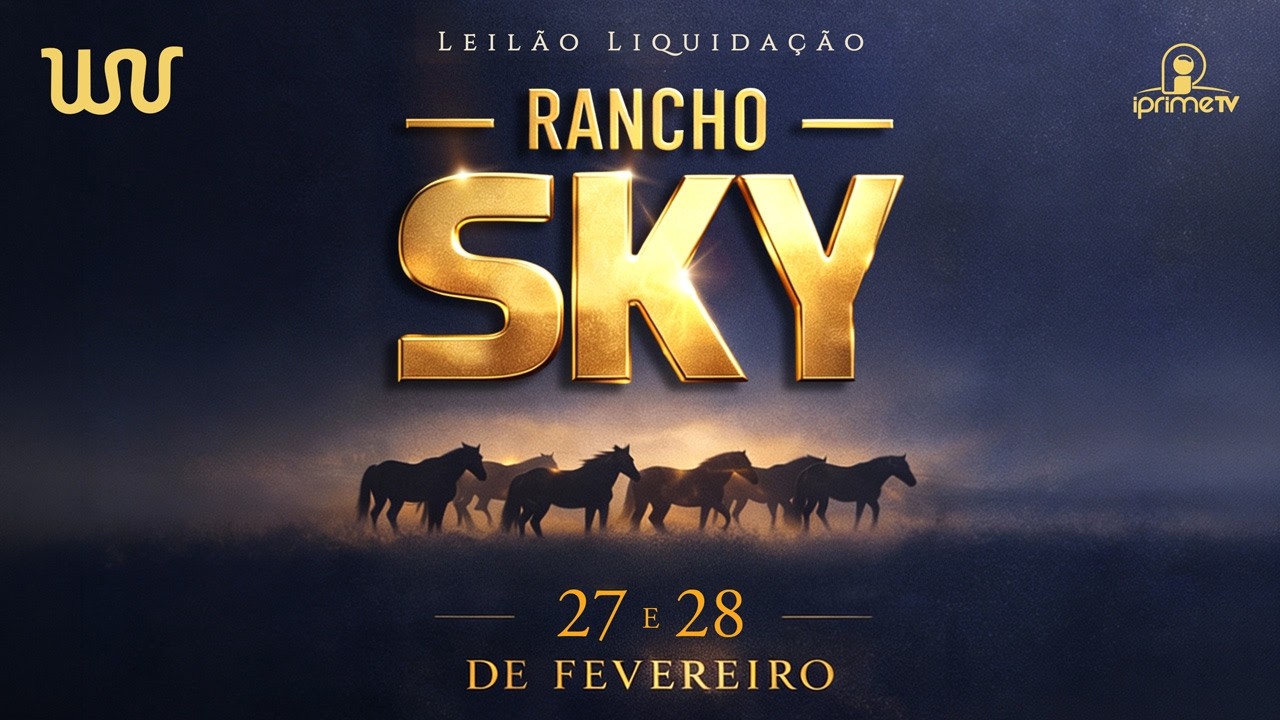 LEILÃO LIQUIDAÇÃO RANCHO SKY - PARTE I