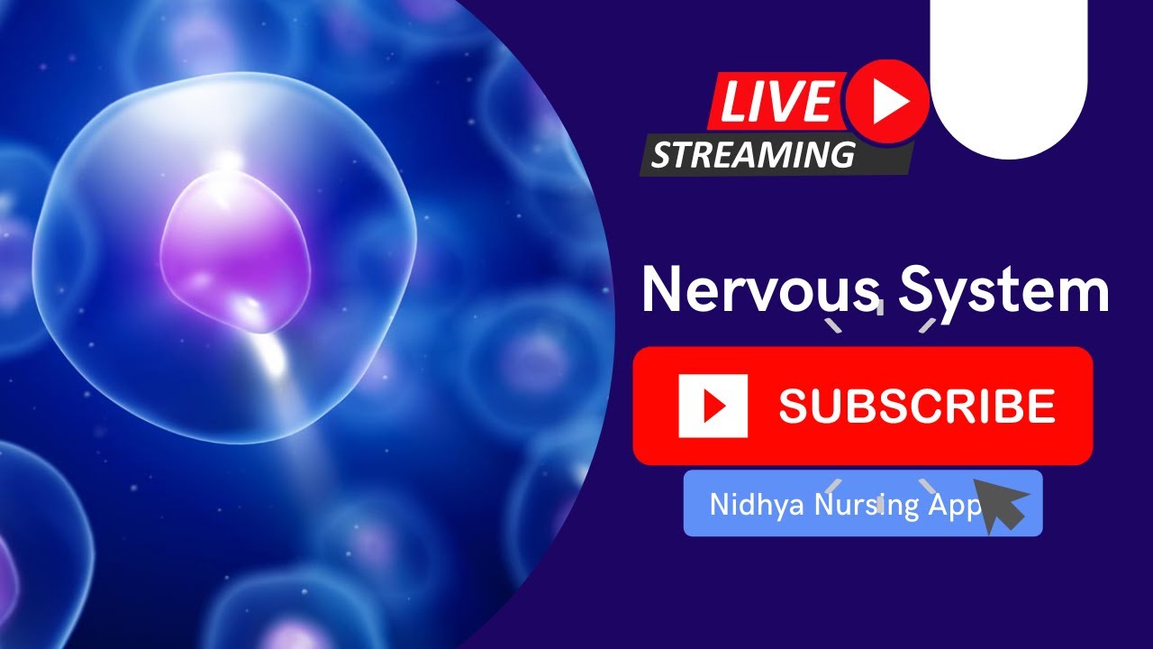 Nervous System || Nidhya Nursing Centre || Nursing Paper-1