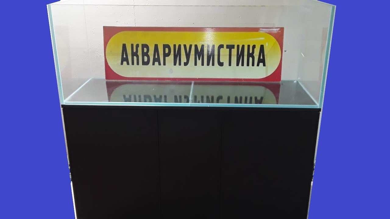 Аквариум в стиле ADA