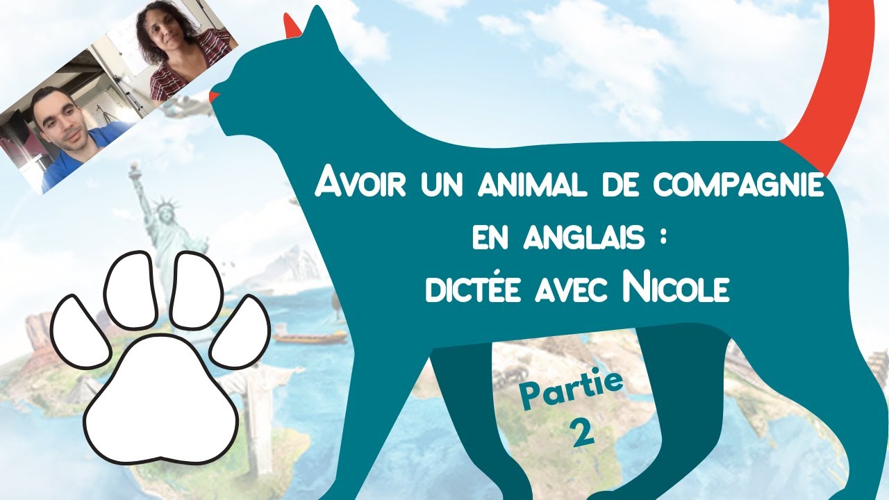 Avoir un animal de compagnie en anglais : dictée avec Nicole - partie 2