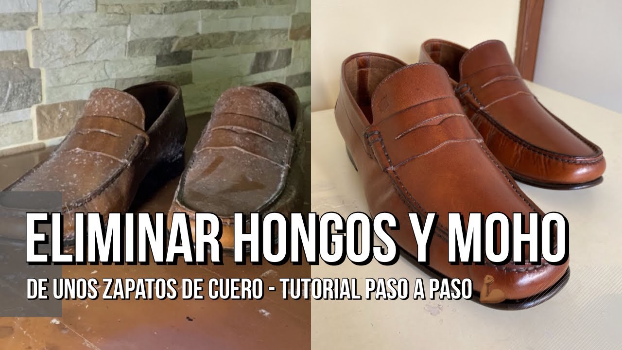 Quitar moho y HONGOS de mis zapatos de cuero