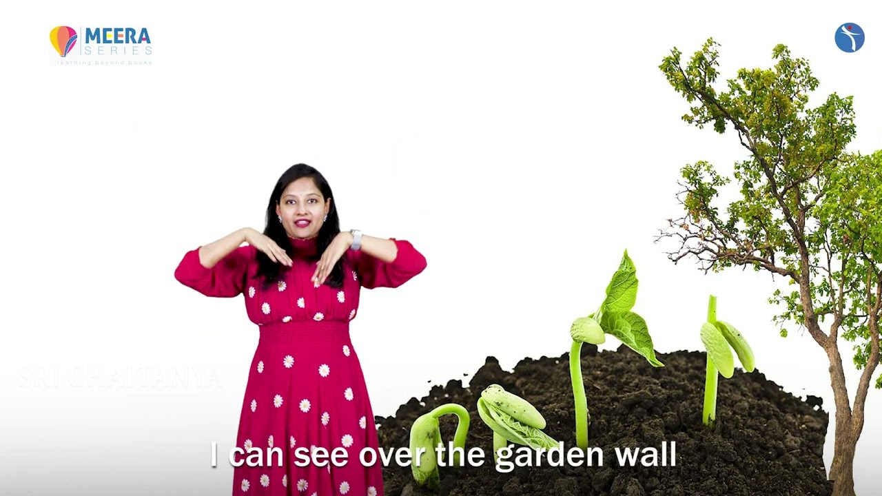 I am a Tiny Seed