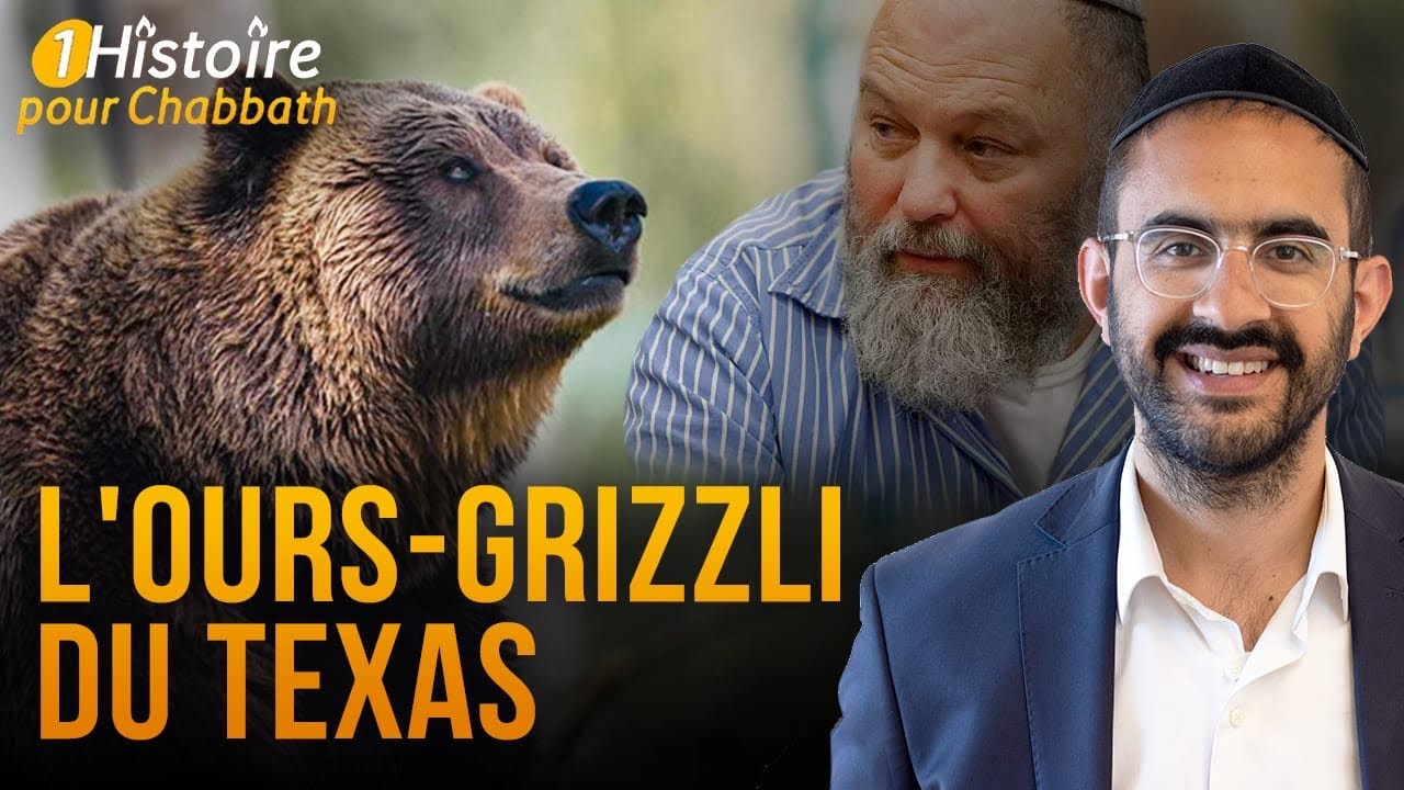 A FAIRE FRÉMIR 😰 L'OURS-GRIZZLI DU TEXAS 🐻‍ L’HISTOIRE DE BINYAMIN BENHAMOU