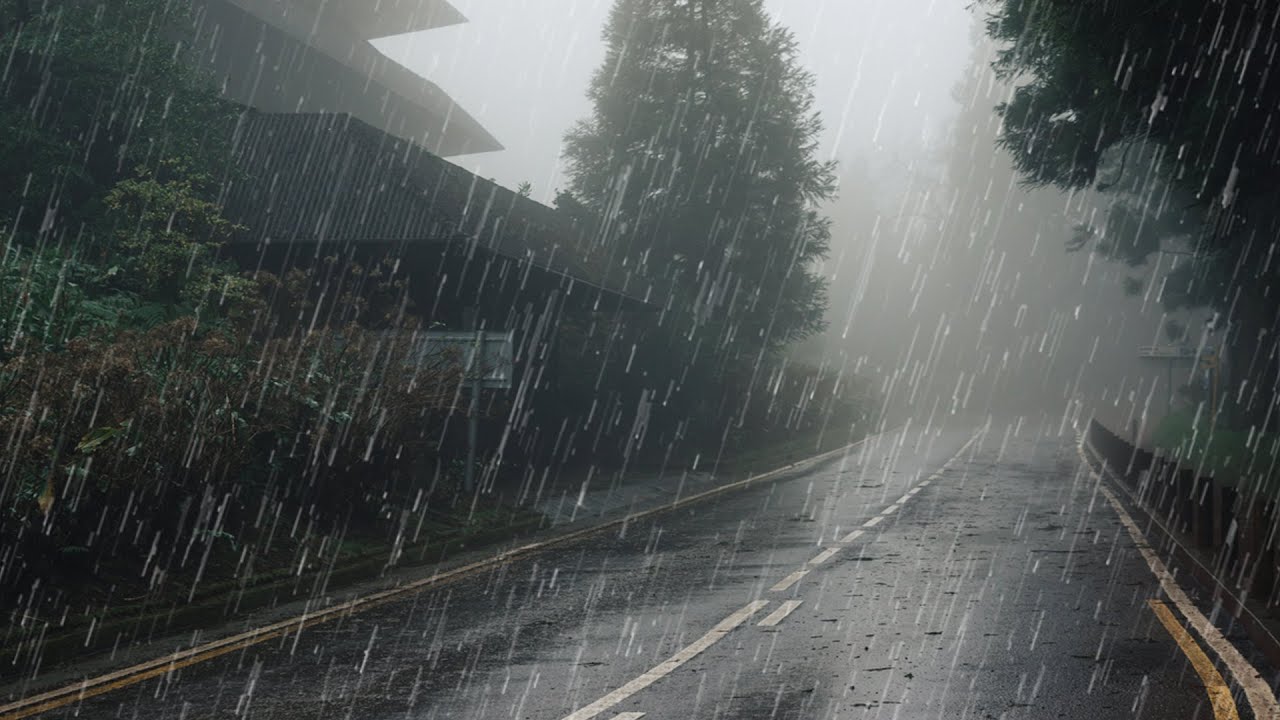 Maravilloso Sonido de Lluvia para Dormir, Relajante, Estudio, Meditación - Lluvia en Bosque Brumoso