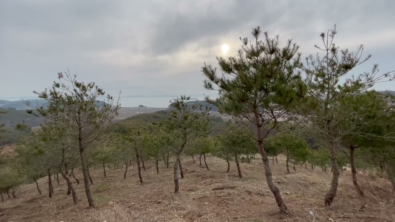 안면도 누리동 어느 산 정상/생활/수행/태을주(Life Meditation Taeeulju/the top of a mountain in Nuri-dong, Anmyun-do)