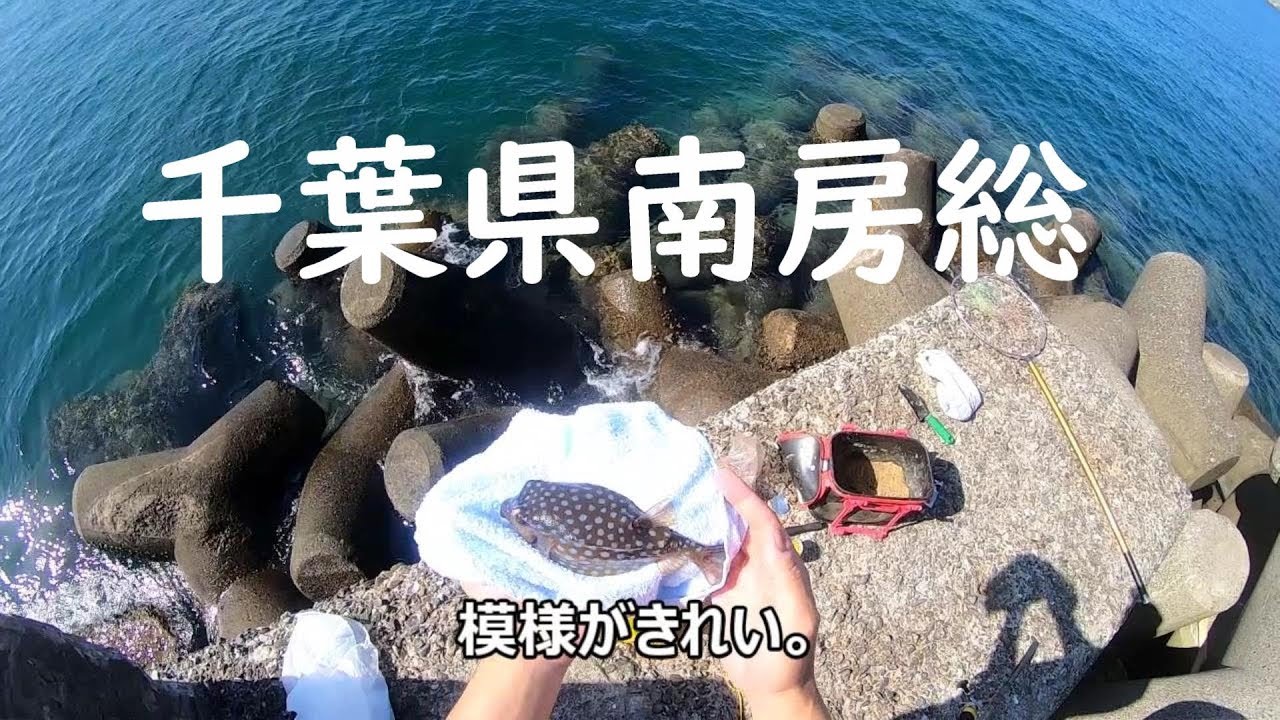 千葉県南房総市富浦で釣り