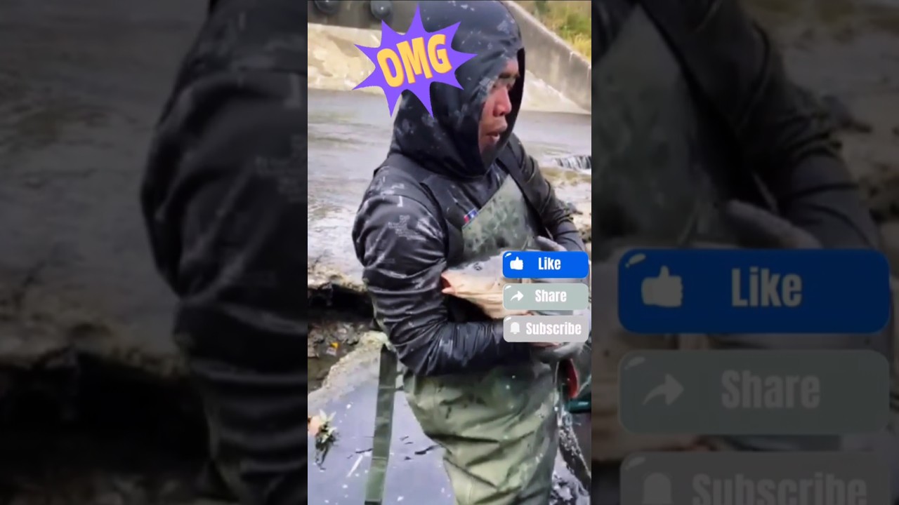Epic Catch Compilation 🎣 | Big Fish Moments! #FishingCompilation #BigCatch #FishingLife