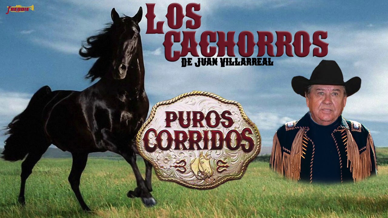 Los Cachorros De Juan Villarreal - Puros Corridos! (Playlist Oficial)