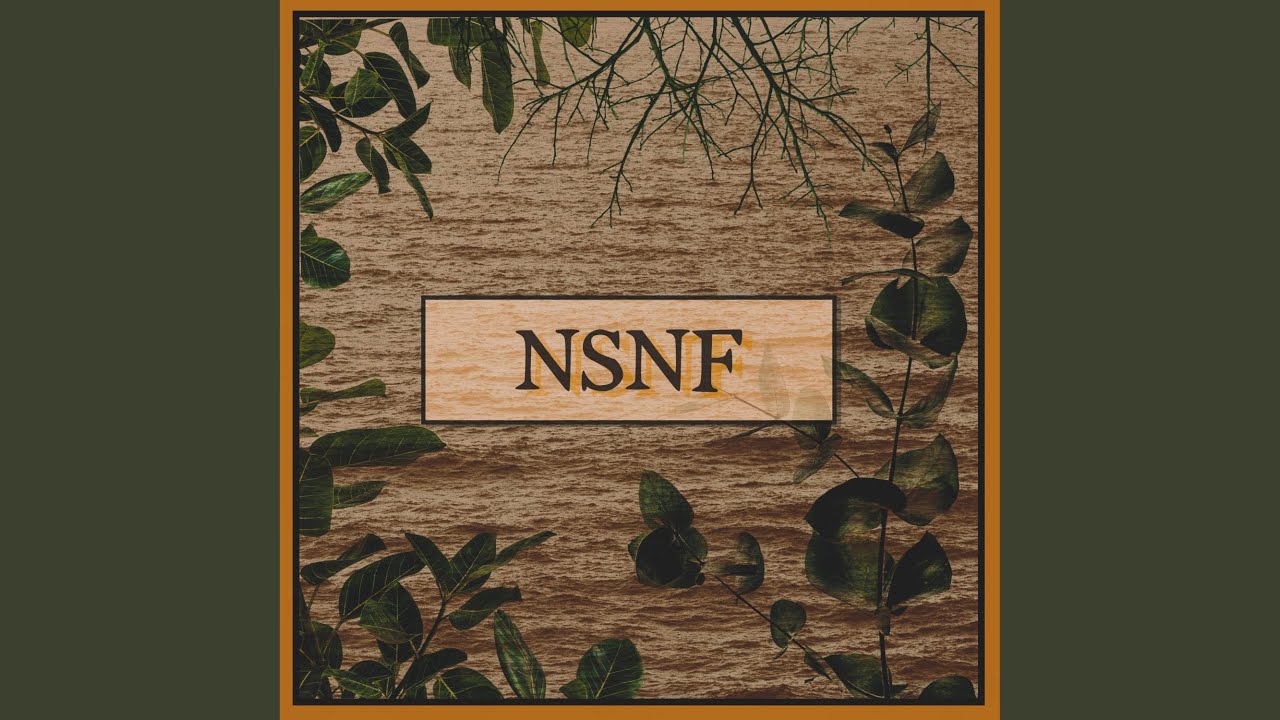 NSNF