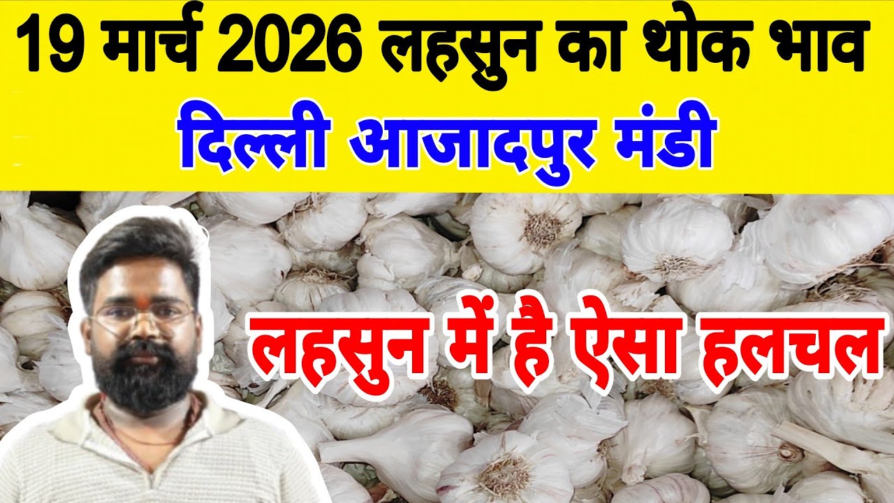 19 March 2026 | Today Garlic Market Price | Garlic Price The Shocking Prediction #mandirates