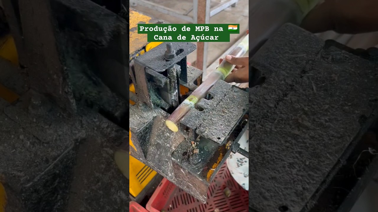MPB Muda Pr&eacute; Brotada na &Iacute;ndia