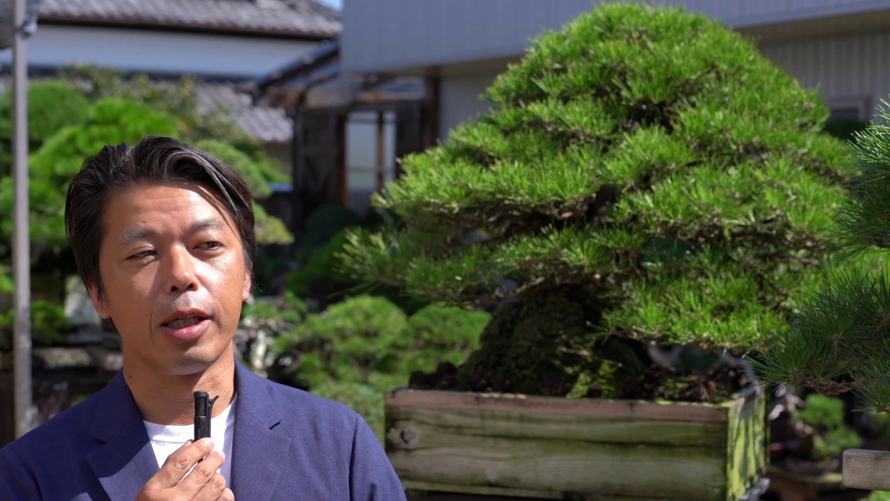 [4K] 岡山 大島明樹園 さんを訪問しました。