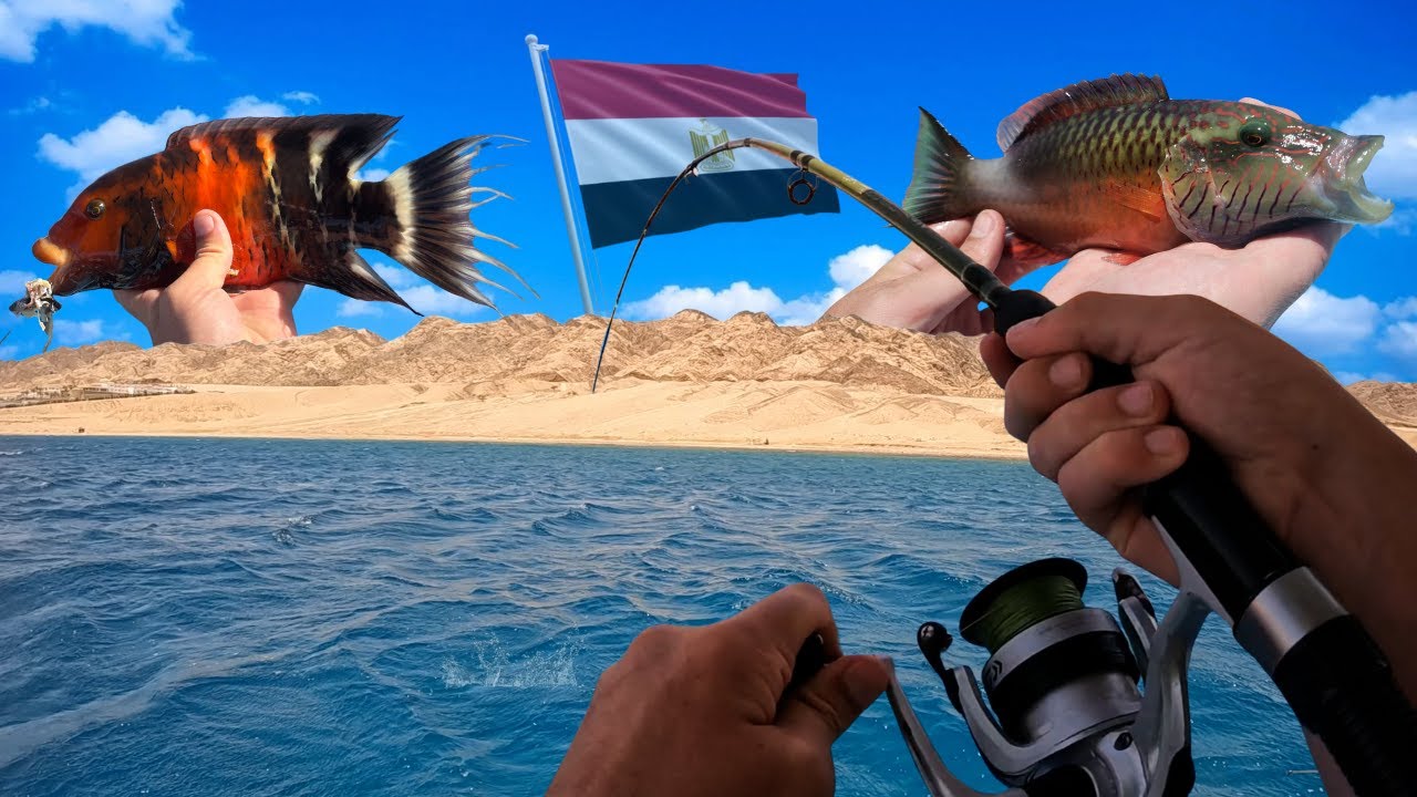 Multi-Species Fishing in the Desert of Egypt!