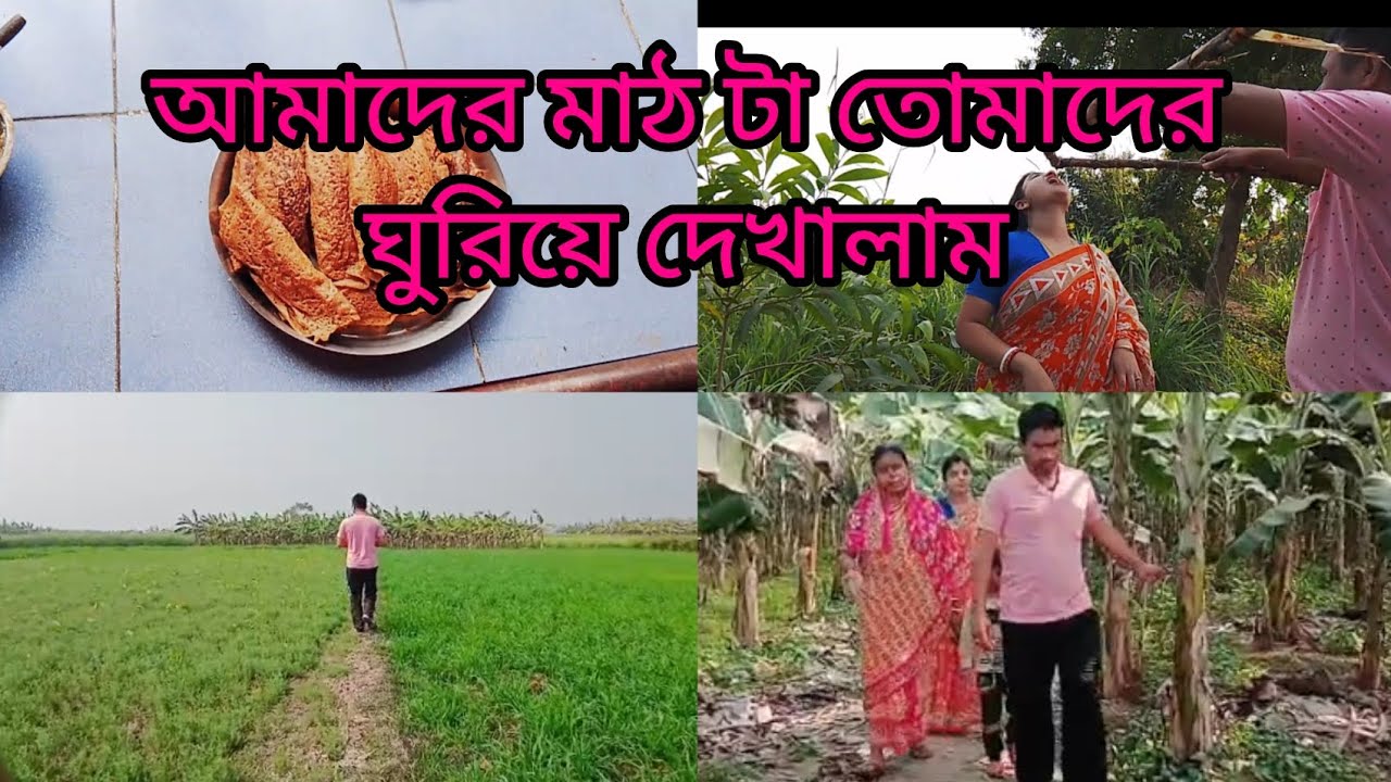 আমাদের মাঠ টা তোমাদের ঘুরিয়ে ঘুরিয়ে দেখালাম 🌲🌲