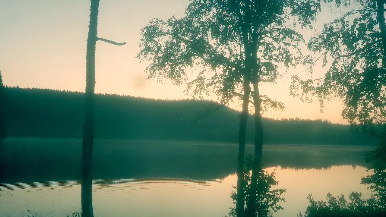 Hjärteblod - Raubtier Cover