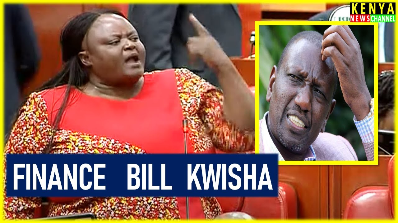 THIS WOMAN! Listen how MP Bensuda ROARED in Parliament while DESTROYING Ruto's Finance Bill