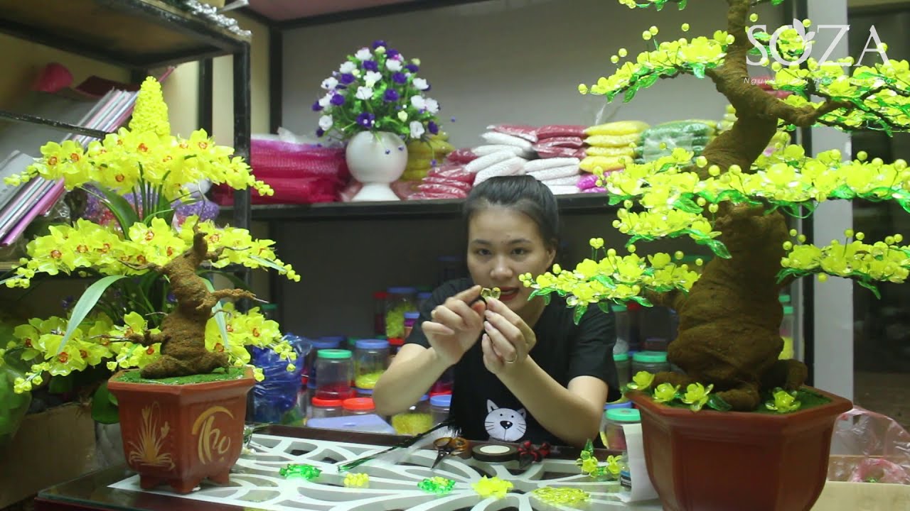 Hướng Dẫn Cách Làm Chậu Hoa Mai Pha Lê Đá ( Gốc mai Dáng Trực cao 25cm )